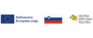 Podintervencija IRP-10